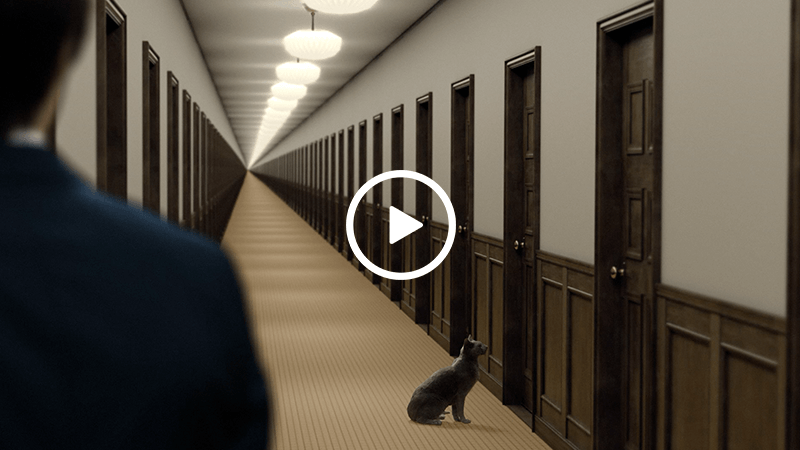 SHINKIN Biz Room 2025【支配人：坂口健太郎】｜信金中央金庫